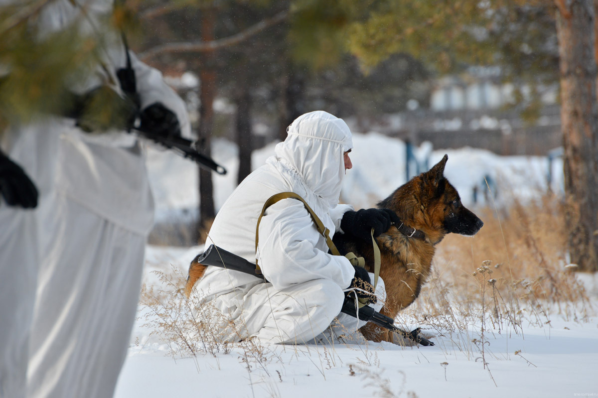 Военная разведка